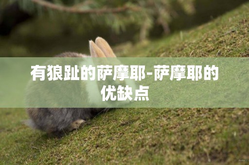 有狼趾的薩摩耶-薩摩耶的優缺點