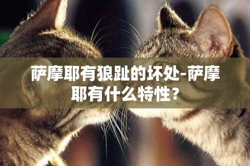 薩摩耶有狼趾的壞處-薩摩耶有什么特性？