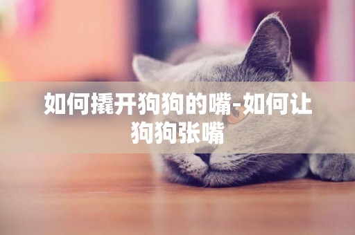 如何撬開狗狗的嘴-如何讓狗狗張嘴