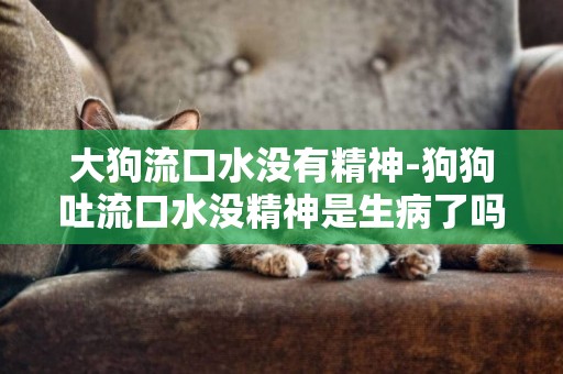 大狗流口水沒有精神-狗狗吐流口水沒精神是生病了嗎?