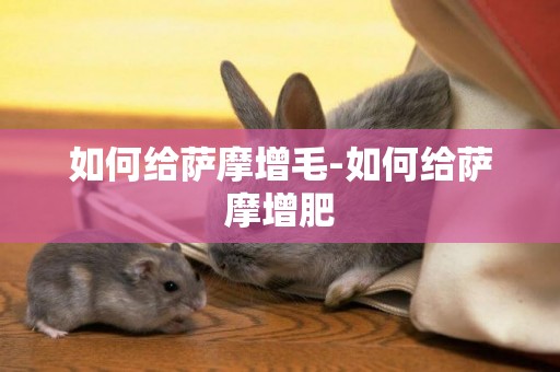 如何給薩摩增毛-如何給薩摩增肥