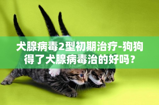 犬腺病毒2型初期治療-狗狗得了犬腺病毒治的好嗎？
