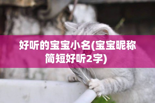 好聽的寶寶小名(寶寶昵稱簡短好聽2字) 