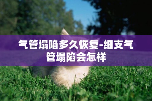 氣管塌陷多久恢復-細支氣管塌陷會怎樣