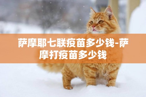 薩摩耶七聯疫苗多少錢-薩摩打疫苗多少錢