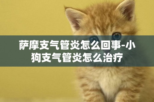 薩摩支氣管炎怎么回事-小狗支氣管炎怎么治療