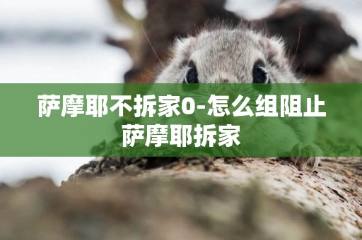 薩摩耶不拆家0-怎么組阻止薩摩耶拆家