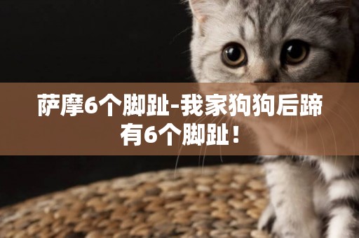 薩摩6個腳趾-我家狗狗后蹄有6個腳趾！