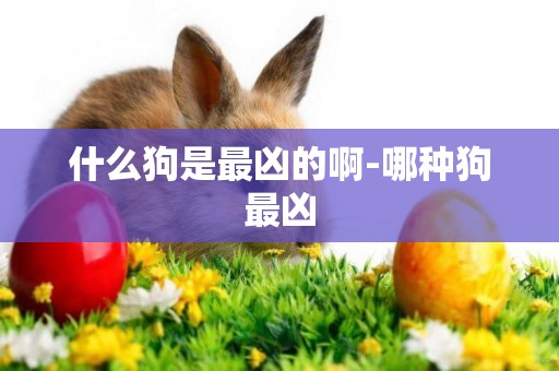 什么狗是最兇的啊-哪種狗最兇