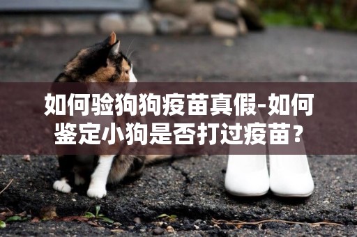 如何驗狗狗疫苗真假-如何鑒定小狗是否打過疫苗？
