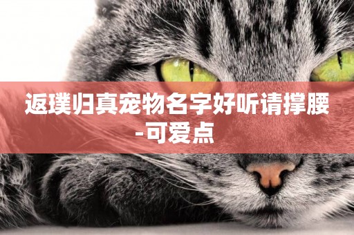 返璞歸真寵物名字好聽請撐腰-可愛點 