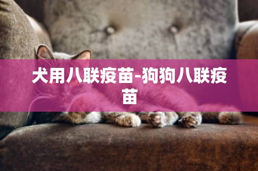 犬用八聯疫苗-狗狗八聯疫苗