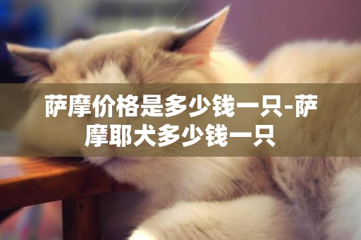 薩摩價格是多少錢一只-薩摩耶犬多少錢一只