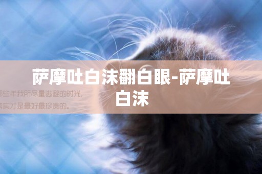 薩摩吐白沫翻白眼-薩摩吐白沫