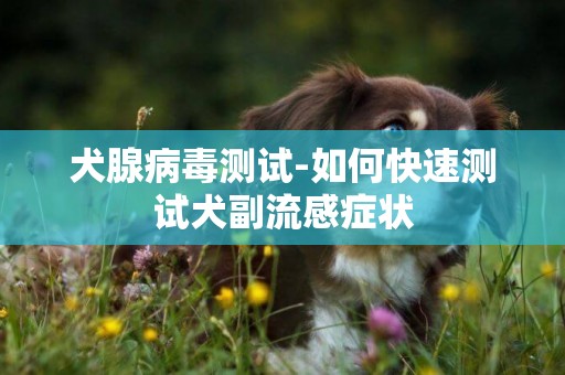 犬腺病毒測試-如何快速測試犬副流感癥狀
