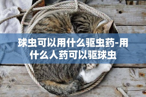 球蟲可以用什么驅蟲藥-用什么人藥可以驅球蟲
