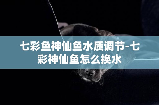 七彩魚神仙魚水質調節-七彩神仙魚怎么換水
