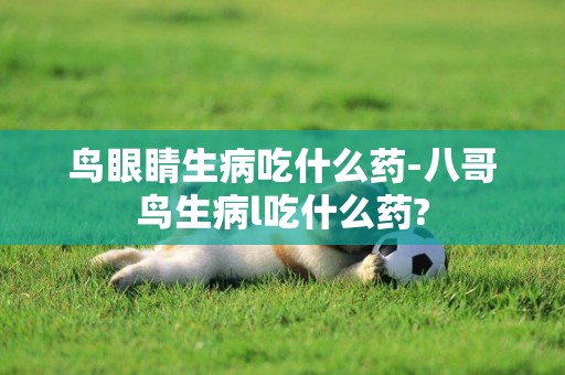 鳥眼睛生病吃什么藥-八哥鳥生病l吃什么藥?
