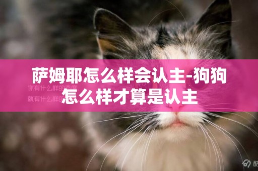 薩姆耶怎么樣會認主-狗狗怎么樣才算是認主