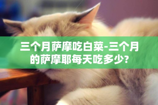 三個月薩摩吃白菜-三個月的薩摩耶每天吃多少?