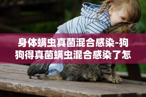 身體螨蟲真菌混合感染-狗狗得真菌螨蟲混合感染了怎么辦