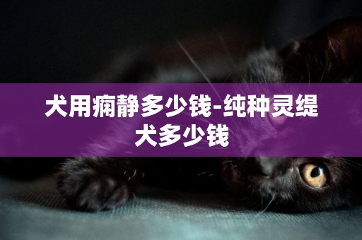犬用癇靜多少錢-純種靈緹犬多少錢