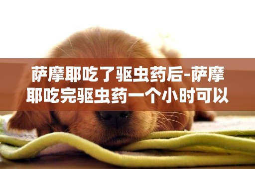 薩摩耶吃了驅蟲藥后-薩摩耶吃完驅蟲藥一個小時可以吃東西嗎?