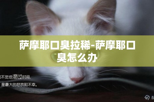 薩摩耶口臭拉稀-薩摩耶口臭怎么辦