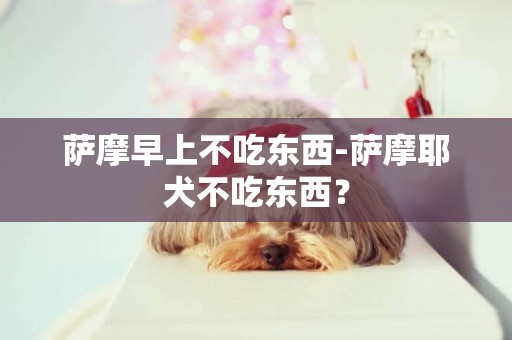 薩摩早上不吃東西-薩摩耶犬不吃東西？