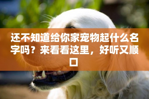 還不知道給你家寵物起什么名字嗎？來看看這里，好聽又順口 