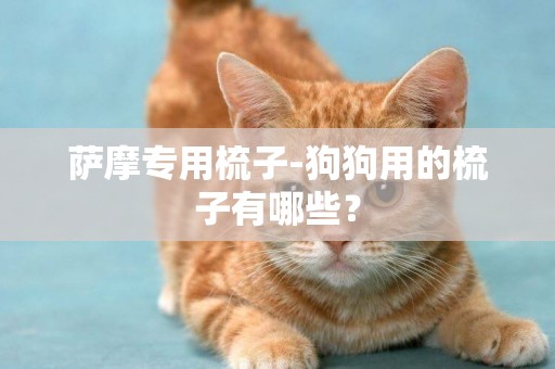 薩摩專用梳子-狗狗用的梳子有哪些？