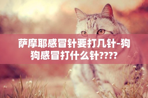 薩摩耶感冒針要打幾針-狗狗感冒打什么針????