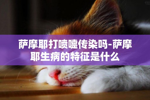 薩摩耶打噴嚏傳染嗎-薩摩耶生病的特征是什么