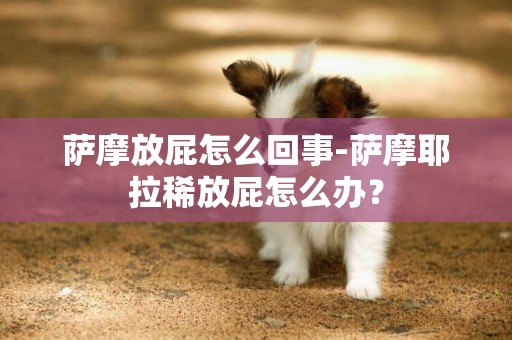 薩摩放屁怎么回事-薩摩耶拉稀放屁怎么辦？