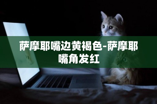 薩摩耶嘴邊黃褐色-薩摩耶嘴角發紅