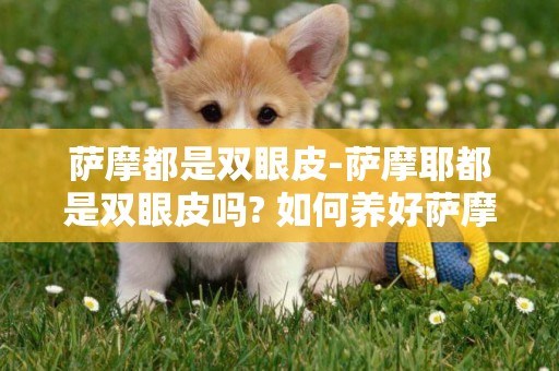 薩摩都是雙眼皮-薩摩耶都是雙眼皮嗎? 如何養好薩摩耶?