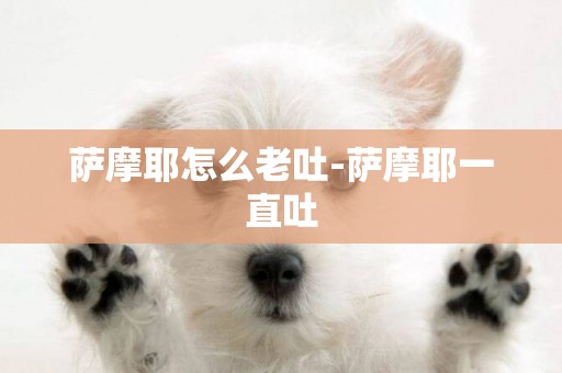 薩摩耶怎么老吐-薩摩耶一直吐