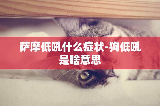 薩摩低吼什么癥狀-狗低吼是啥意思