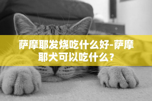 薩摩耶發燒吃什么好-薩摩耶犬可以吃什么？