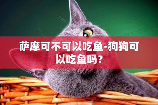 薩摩可不可以吃魚-狗狗可以吃魚嗎？