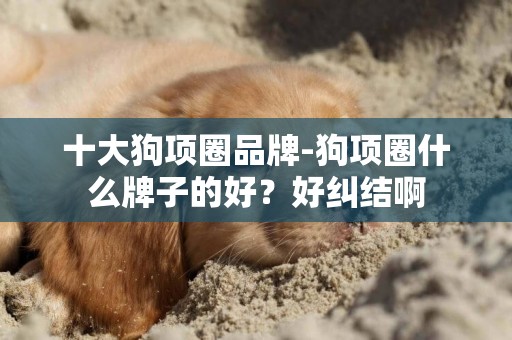 十大狗項圈品牌-狗項圈什么牌子的好？好糾結啊