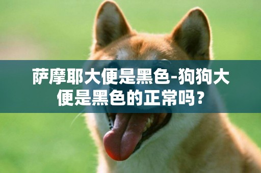 薩摩耶大便是黑色-狗狗大便是黑色的正常嗎？