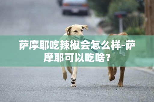 薩摩耶吃辣椒會怎么樣-薩摩耶可以吃啥？
