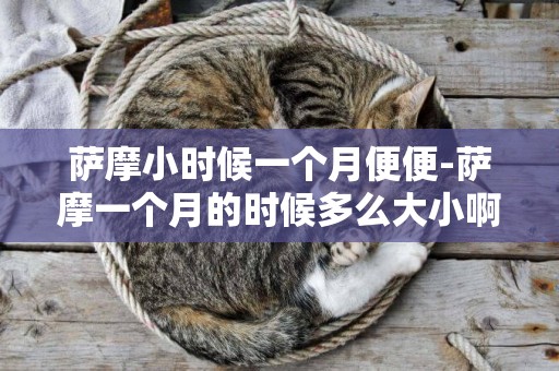 薩摩小時候一個月便便-薩摩一個月的時候多么大小啊，