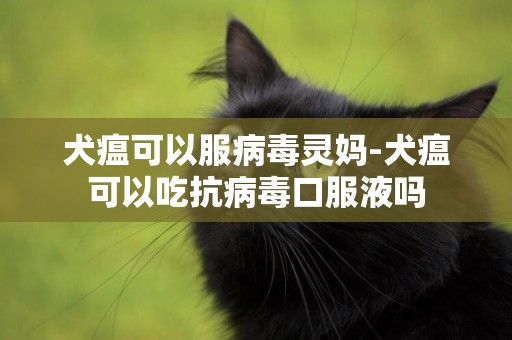 犬瘟可以服病毒靈媽-犬瘟可以吃抗病毒口服液嗎