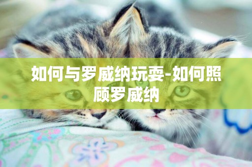 如何與羅威納玩耍-如何照顧羅威納