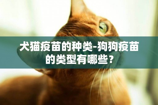 犬貓疫苗的種類-狗狗疫苗的類型有哪些？