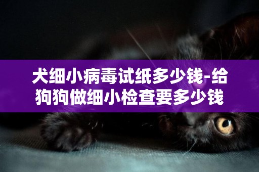 犬細小病毒試紙多少錢-給狗狗做細小檢查要多少錢