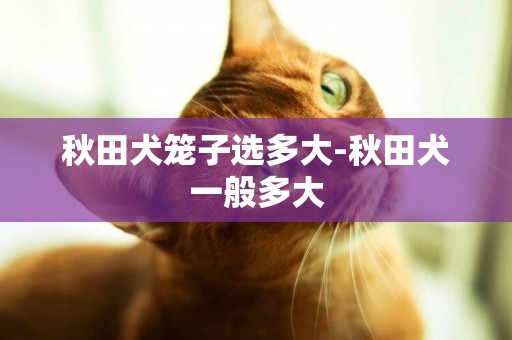 秋田犬籠子選多大-秋田犬一般多大