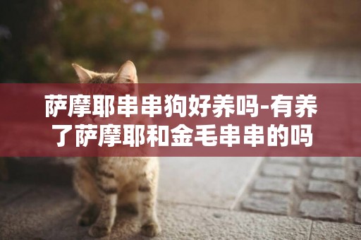 薩摩耶串串狗好養嗎-有養了薩摩耶和金毛串串的嗎